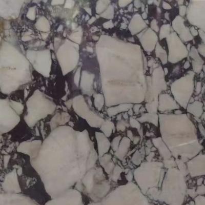 Calacatta Viola Marble